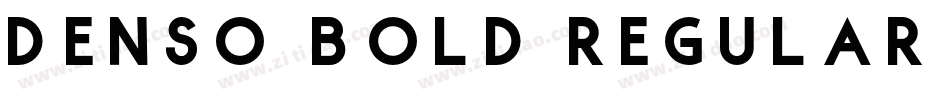 Denso Bold Regular字体转换
